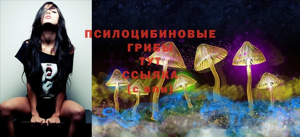 гашик Краснотурьинск