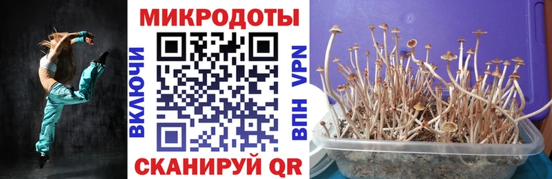 Псилоцибиновые грибы MAGIC MUSHROOMS  Купить где  Макаров 